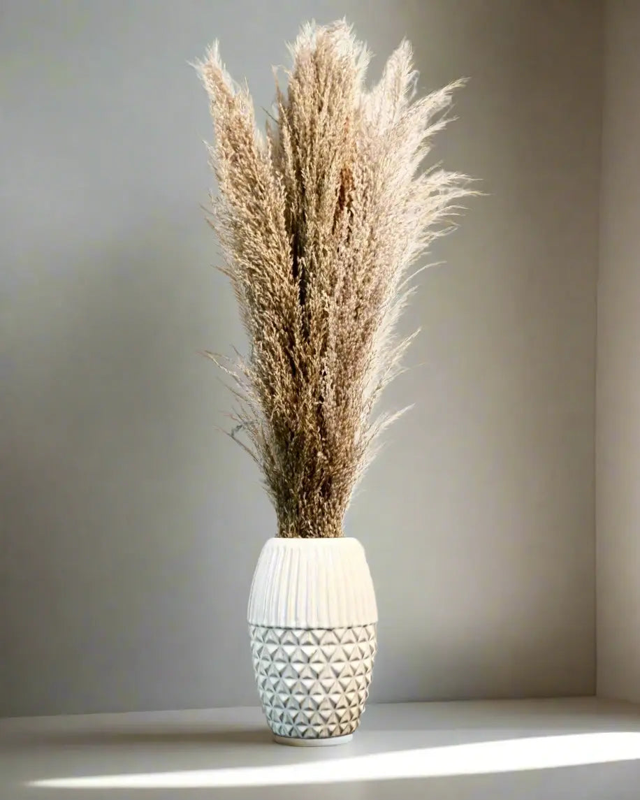 Tall Pampas Grass in Ceramic Vase Pop Of Modern Pop Of Modern