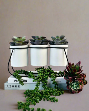 Faux Succulents On Metal Stand Pop Of Modern Pop Of Modern