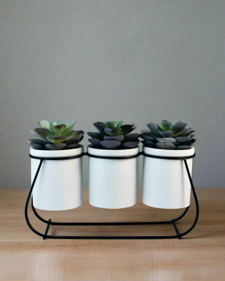 Faux Succulents On Metal Stand Pop Of Modern Pop Of Modern