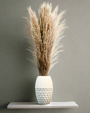 Tall Pampas Grass in Ceramic Vase Pop Of Modern Pop Of Modern