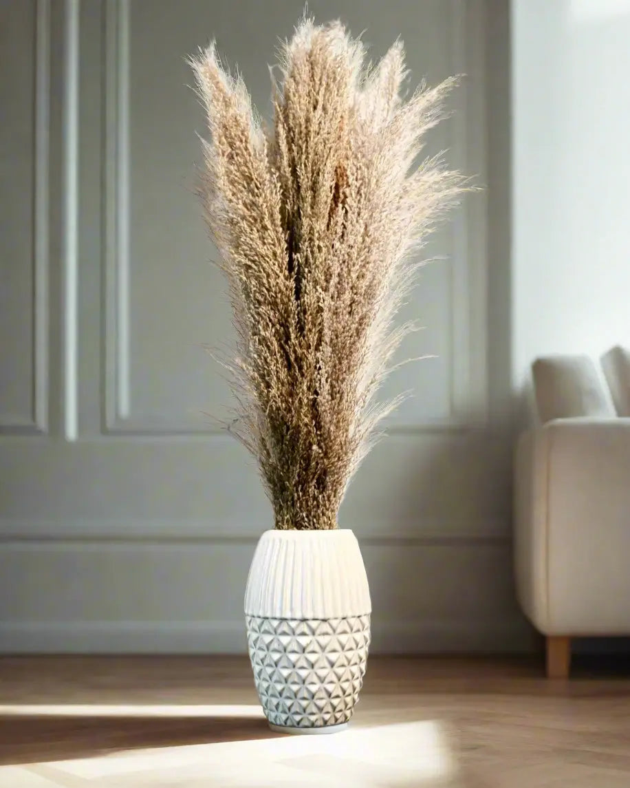 Tall Pampas Grass in Ceramic Vase Pop Of Modern Pop Of Modern