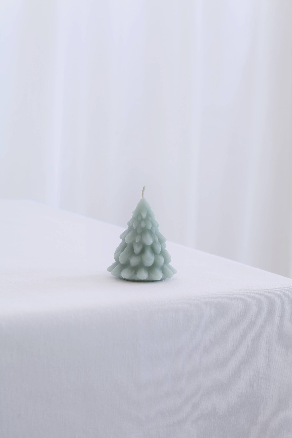 Beeswax Tree Candle