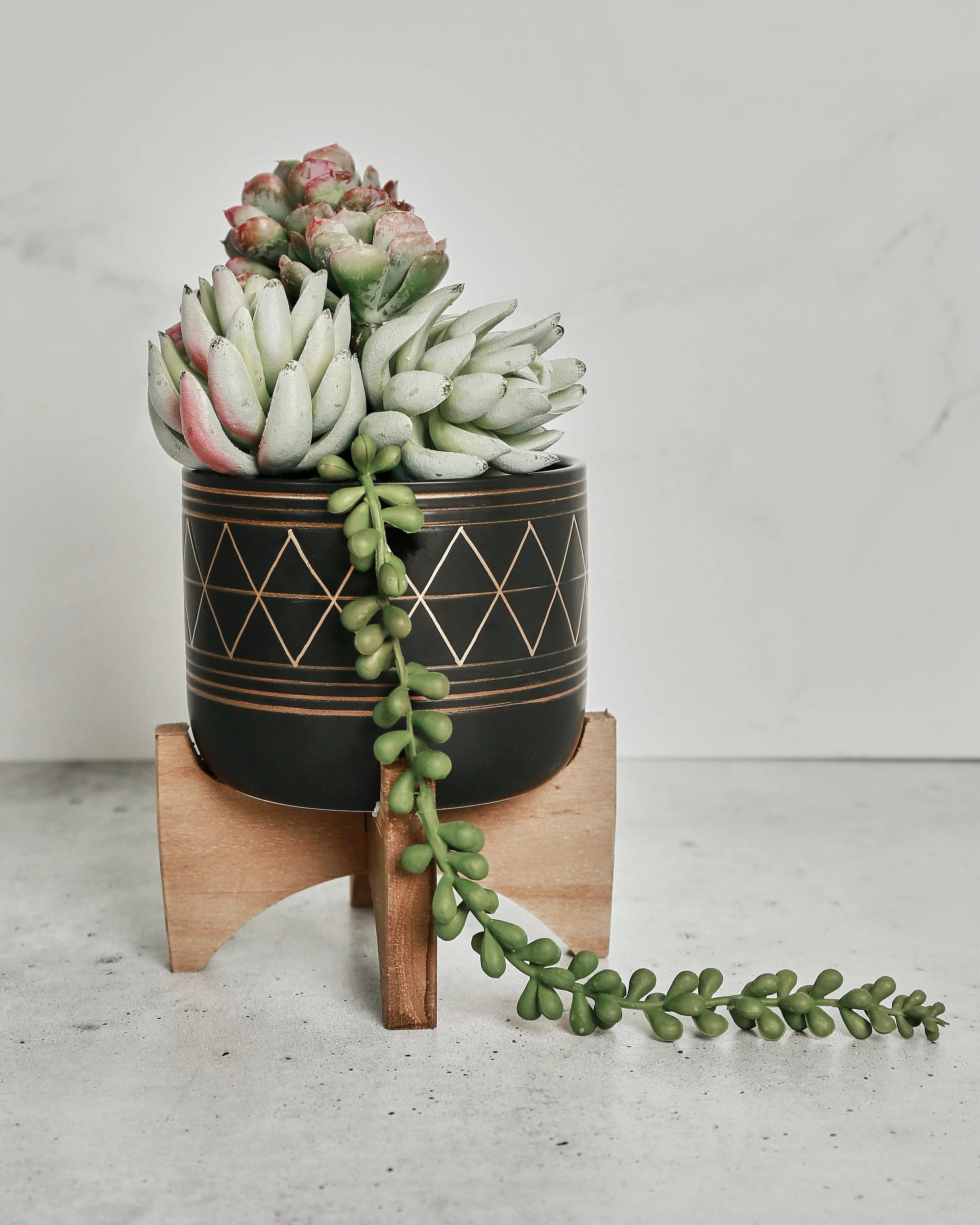 Handcrafted and hand-painted planter holder - Pop Of Modern