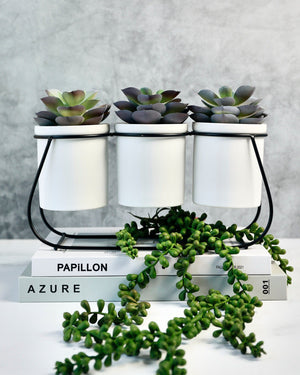 3 Faux Succulents On Metal Stand