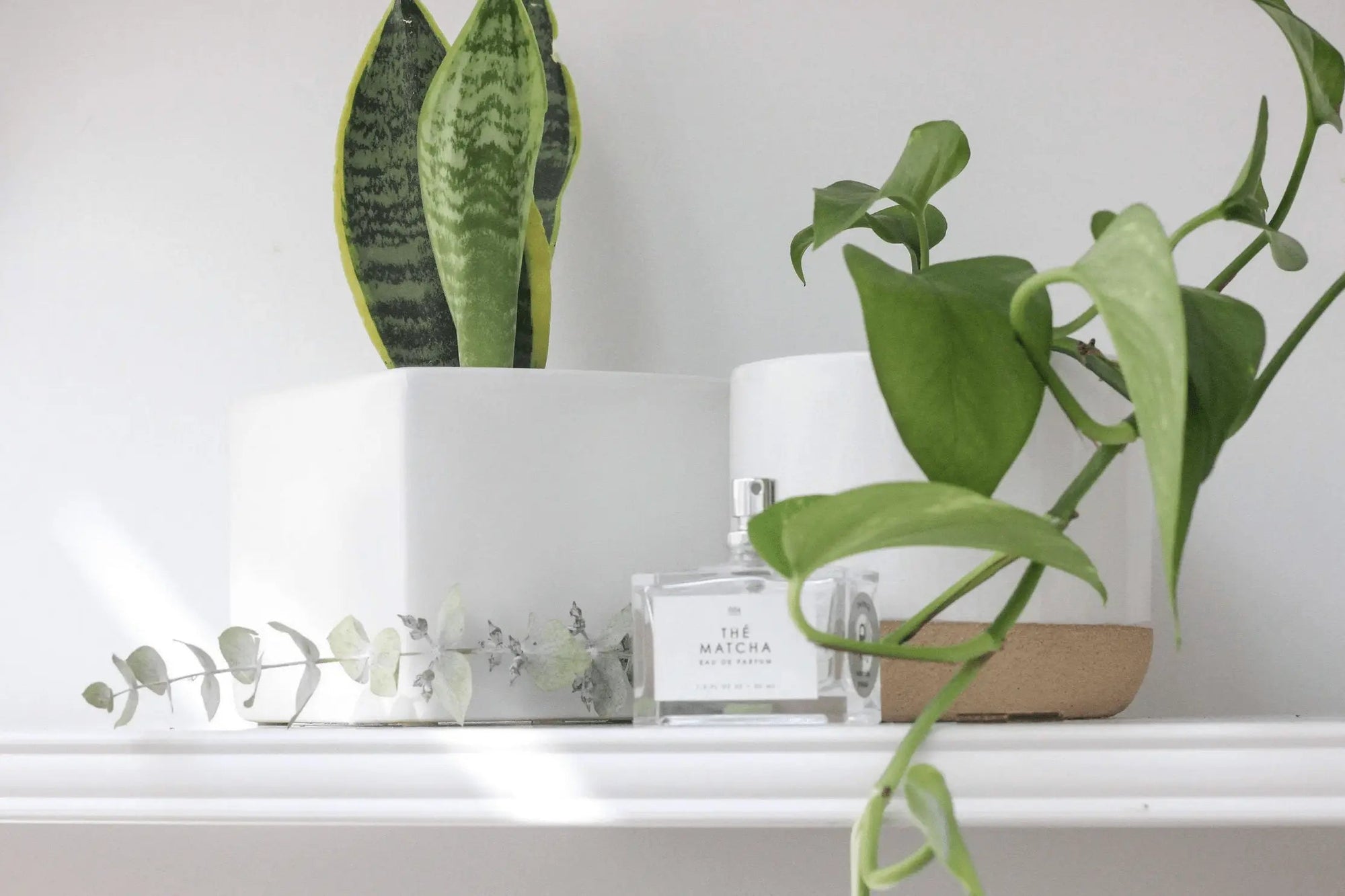 Pots & Planters Ceramic Planter Pot White on Beige - Pop of Modern