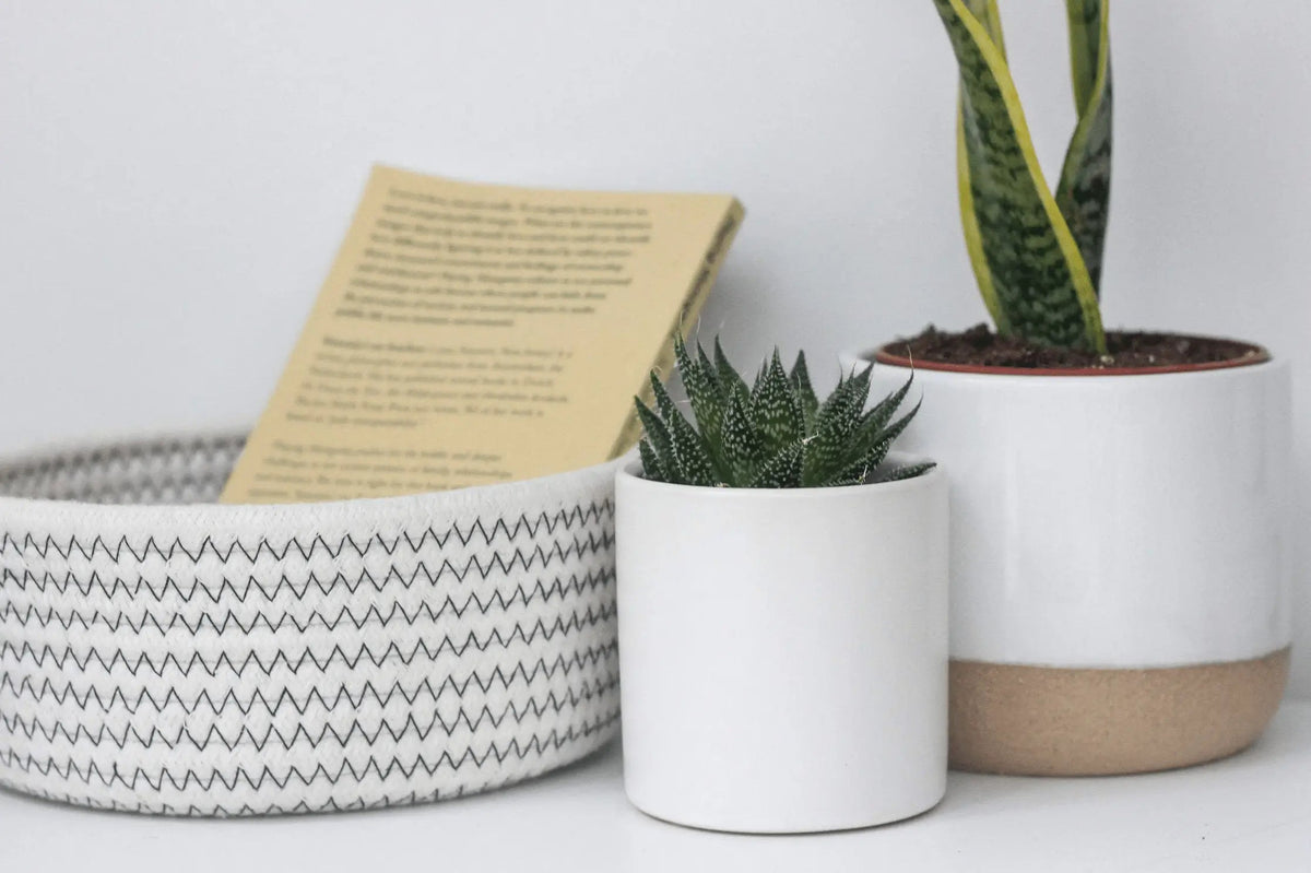 Pots &amp; Planters Ceramic Planter Pot White on Beige - Pop of Modern