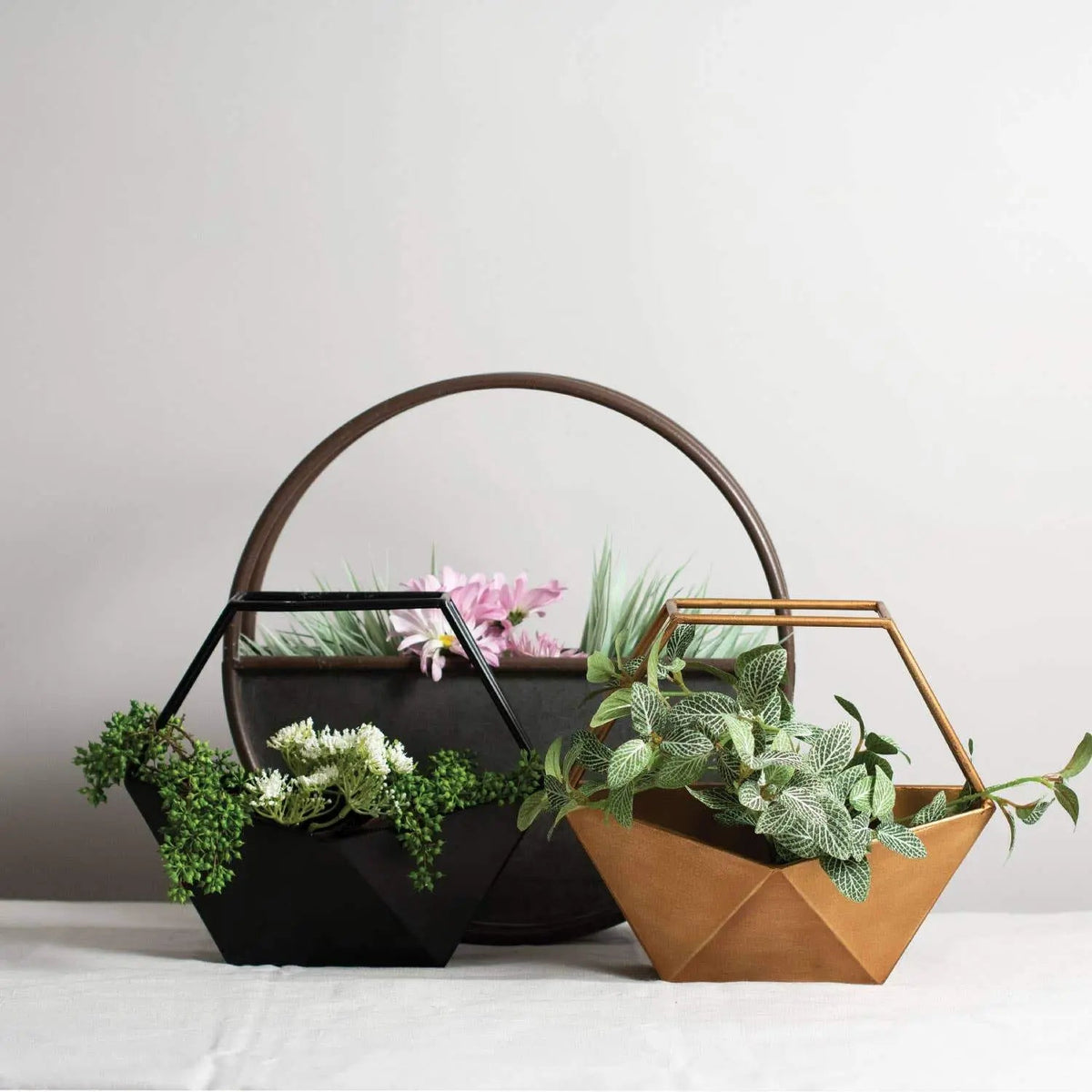geo hanging planter Geo Conservatory Planter (Black) - Pop of Modern