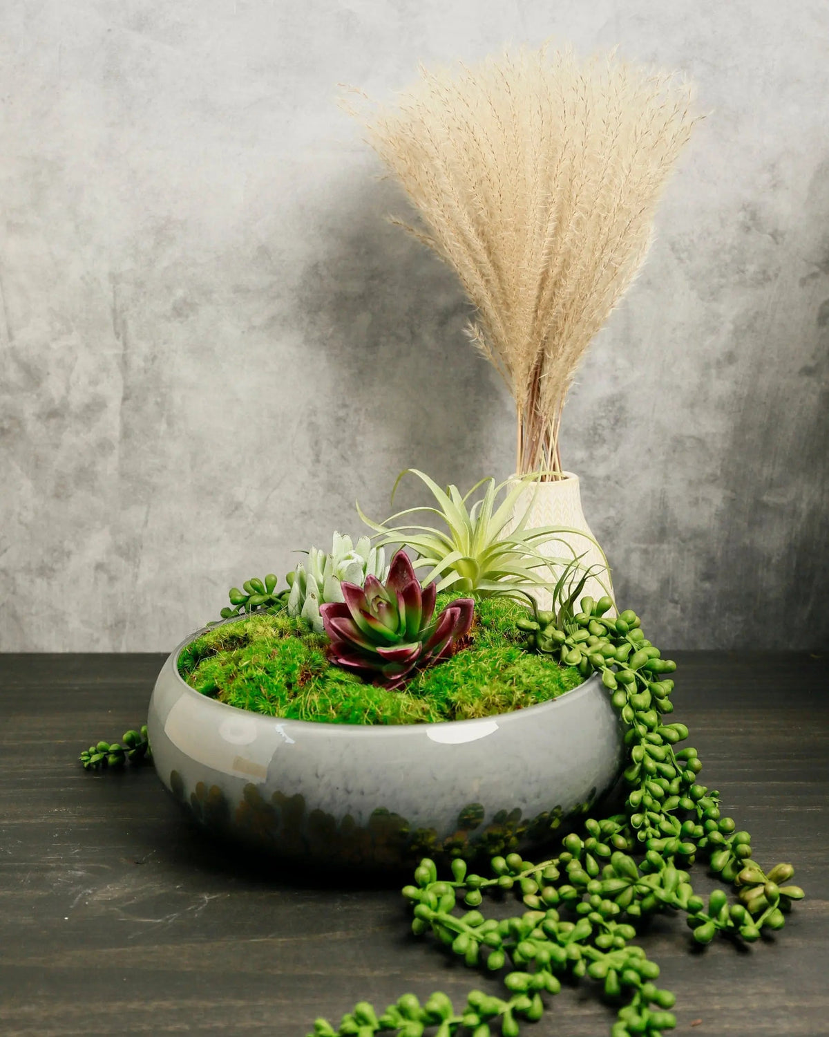 glass planter succulent Handblown Glass Planter