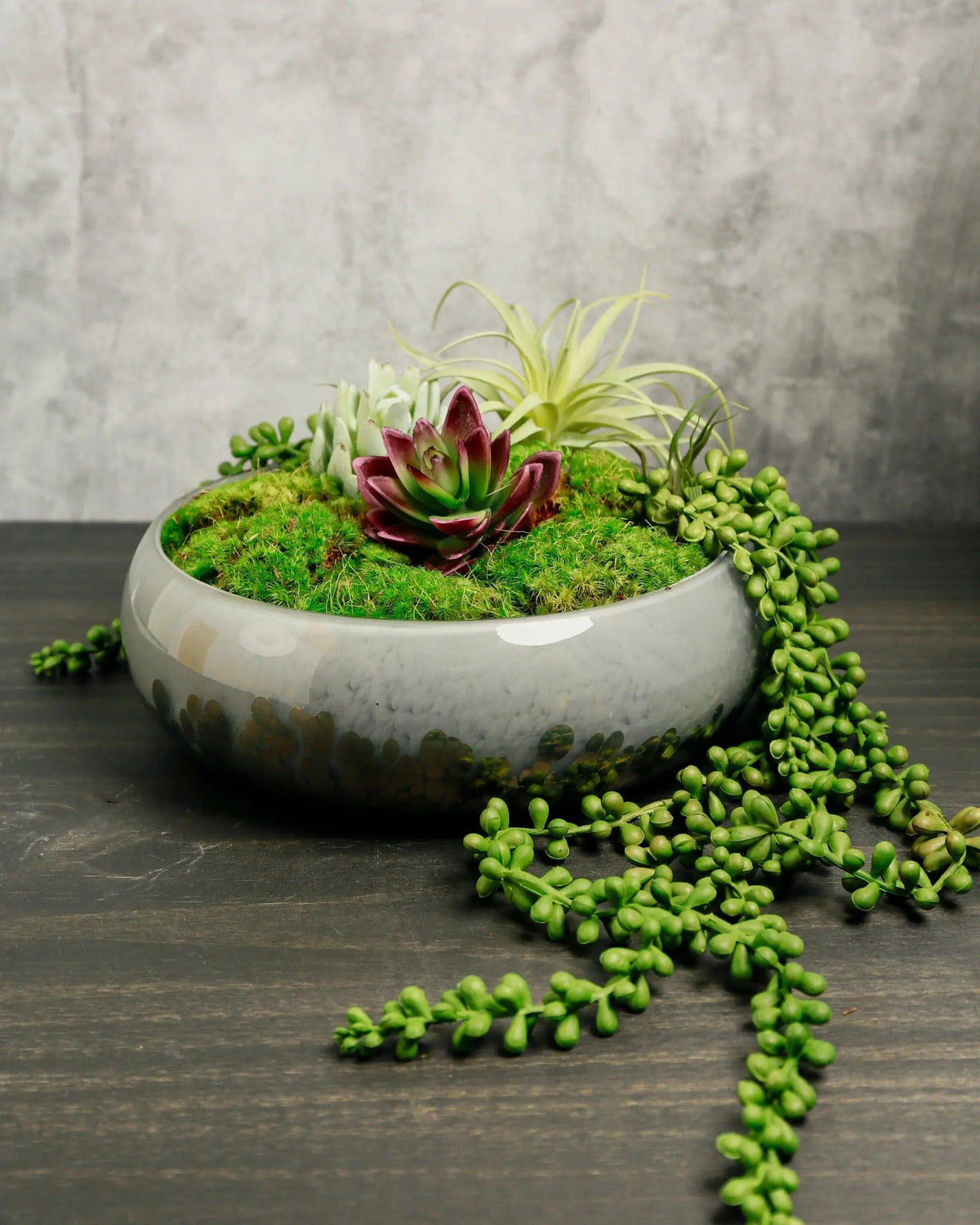 succulent glass planter Handblown Glass Planter