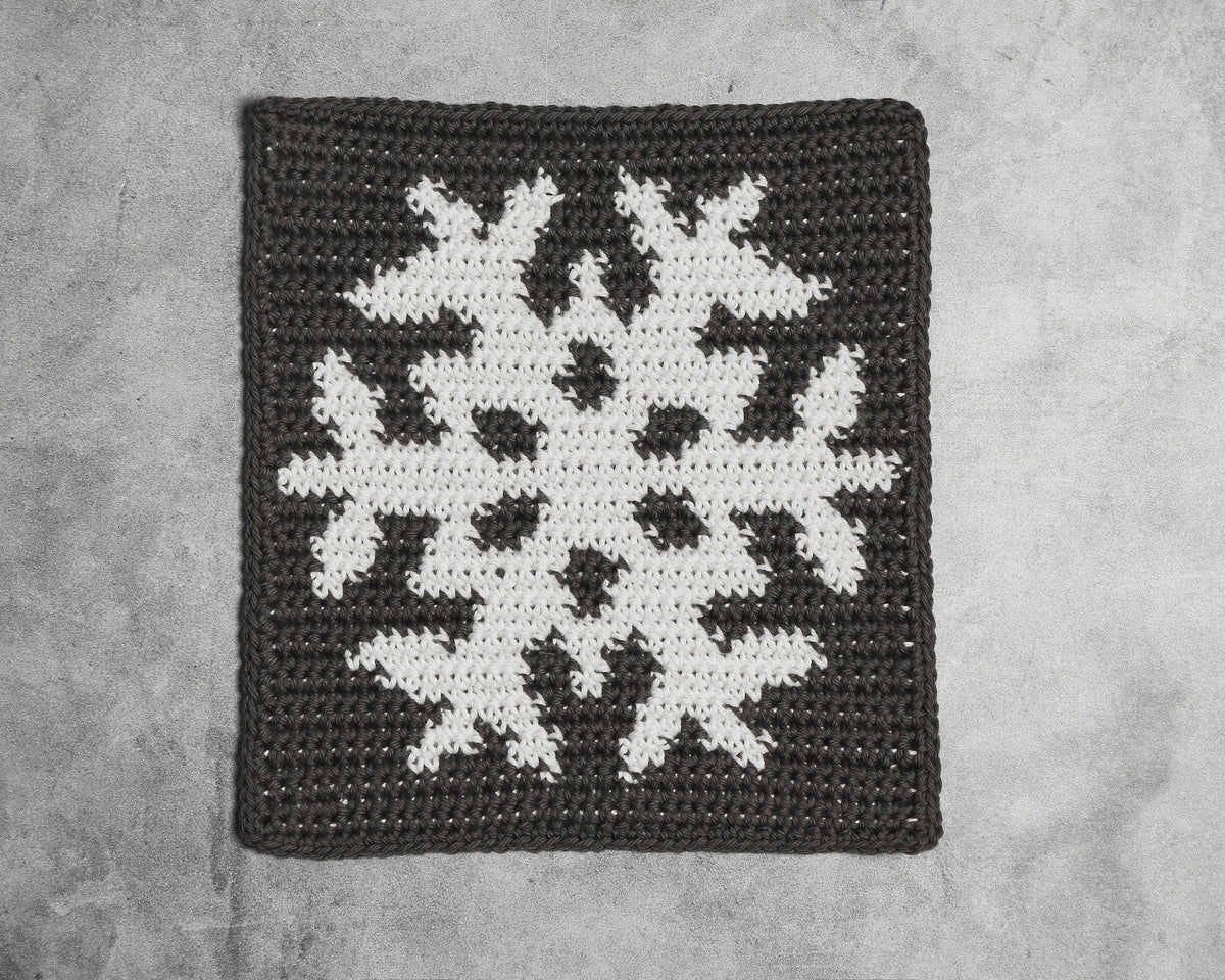 Hot pads Holiday Hot Pads - Pop of Modern 