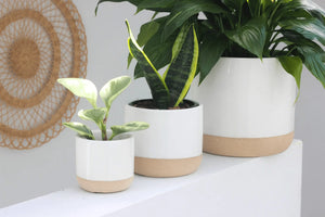 Pots & Planters Ceramic Planter Pot White on Beige - Pop of Modern