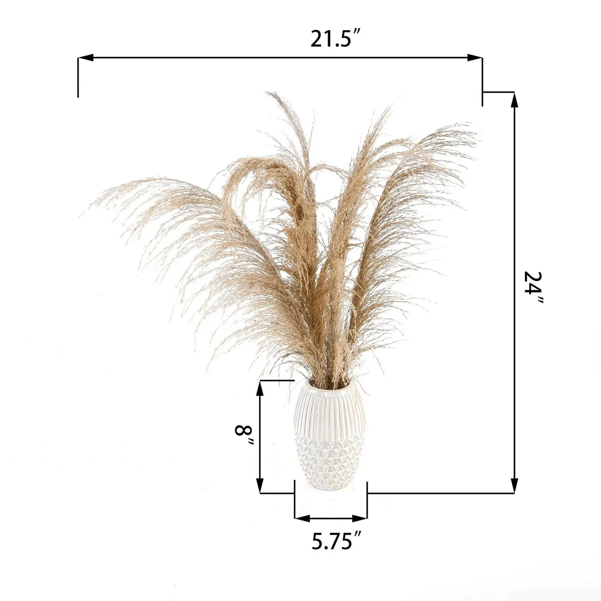 Tall Pampas Grass in Ceramic Vase