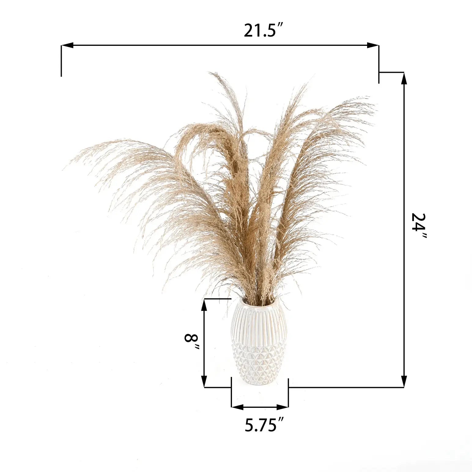 Tall Pampas Grass in Ceramic Vase